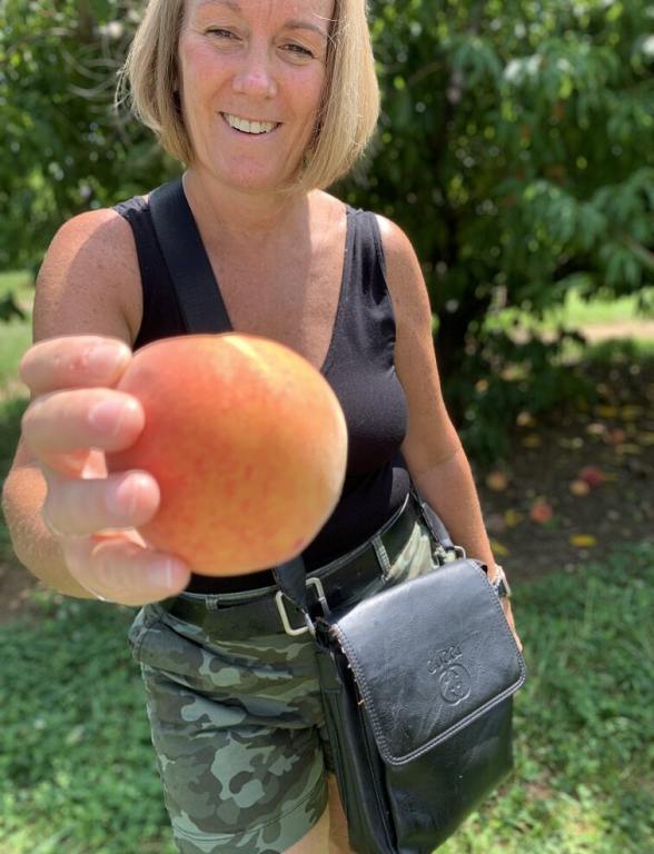 Peach Picking Season Is Here Get To These Great Central Jersey Farms