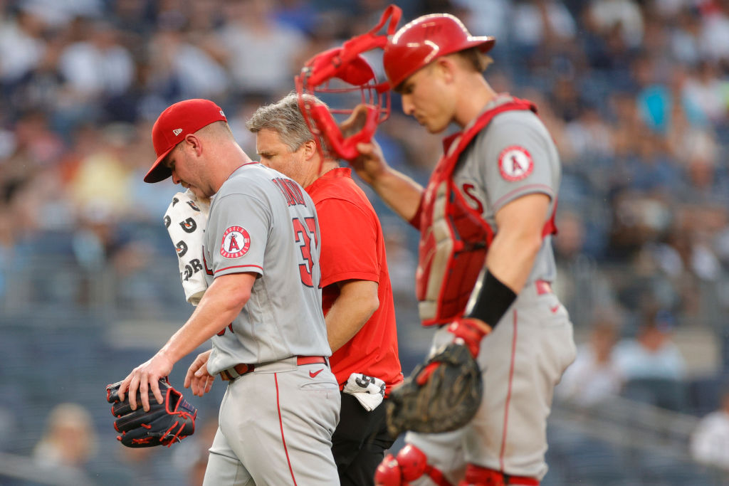 Los Angeles Angels v New York Yankees