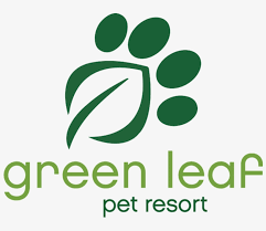 Green Leaf Pet Resort