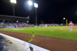 MLB Little League Classic: New York Mets v Philadelphia Phillies