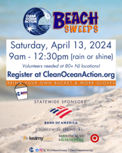 Beach Sweep Clean Up Poster