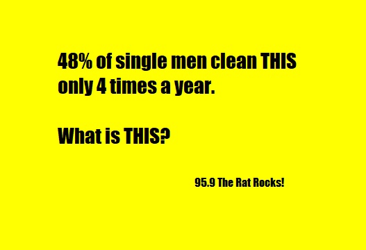 Today's W.T.F. Single men clean only 4 times a year. Yuk.